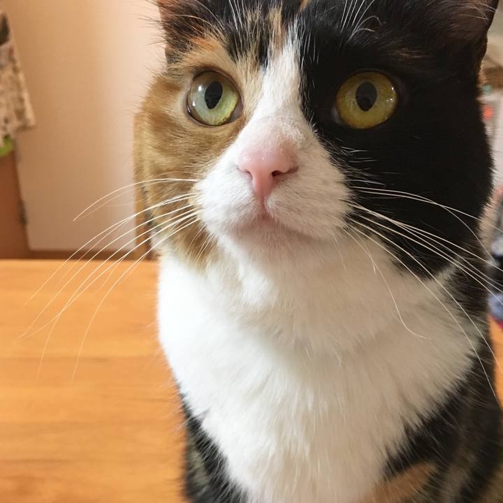 4cd7ae3a 196f 4533 9ca2 821b8a49a0d1