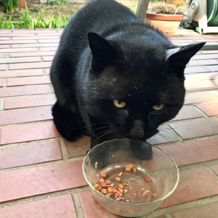 4cd8fabf 198b 4611 b0dd 4e512b7e7a84