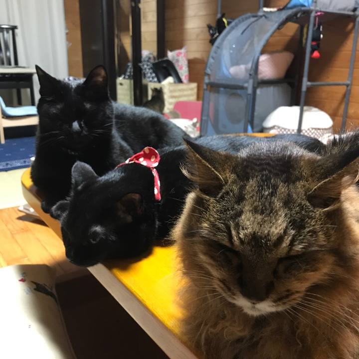 4cd9568e 8f25 484c 92ae ee5735863caf