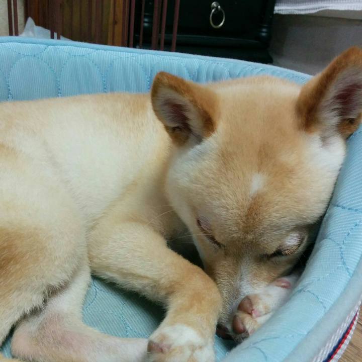 4cd9e3d3 98e3 4cdb 966e 2fb7348cf29b