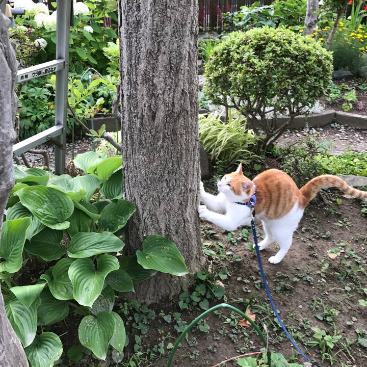 4cd9ff46 f836 4620 88d6 ed5657158ac5