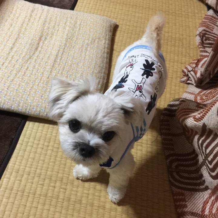 4cda083e e34d 4eab 9c1d eadf957fac77