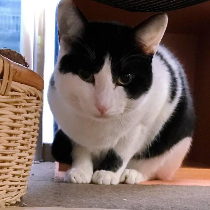 4cdb6fab 78ce 4ee8 b60a 92270b08f4ef