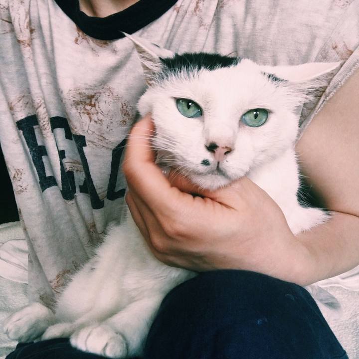 4cdb7693 2a49 4655 80d7 e21ddca991c7