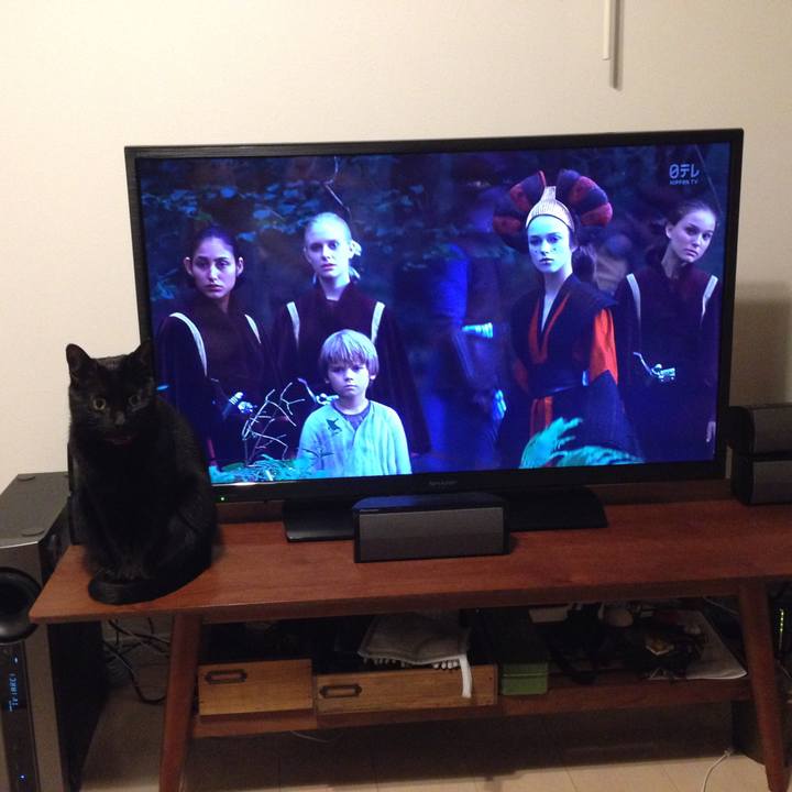 4cdb982e 12e1 4f1d 9611 642d18fd5200