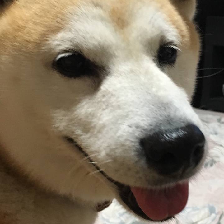 4cdbffdc a643 46cc 935c 72c63049fb5c