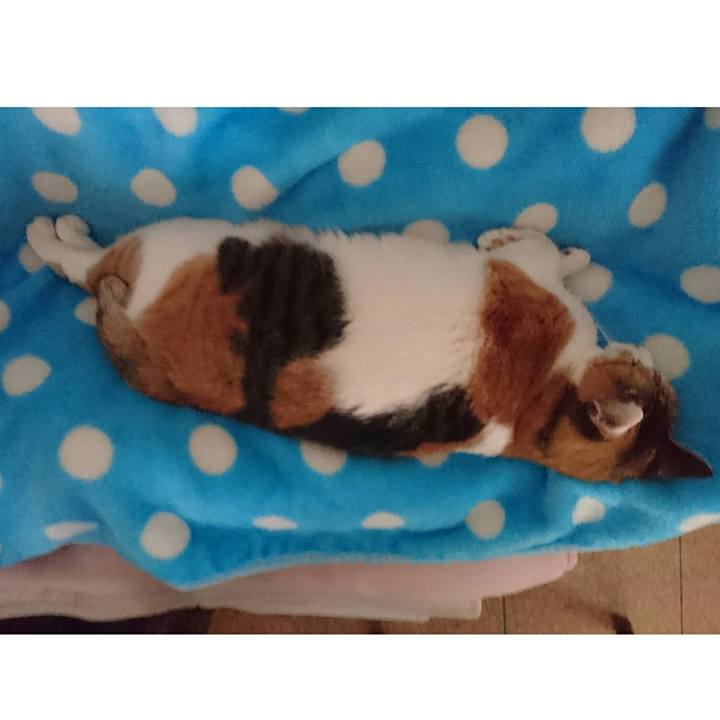 4cdd3e06 e441 451f b13c 7e9cbfef5542