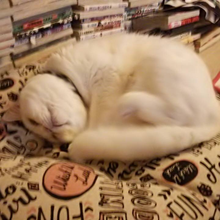 4cdd4499 6ba2 47b9 9f53 e586e3650ca4