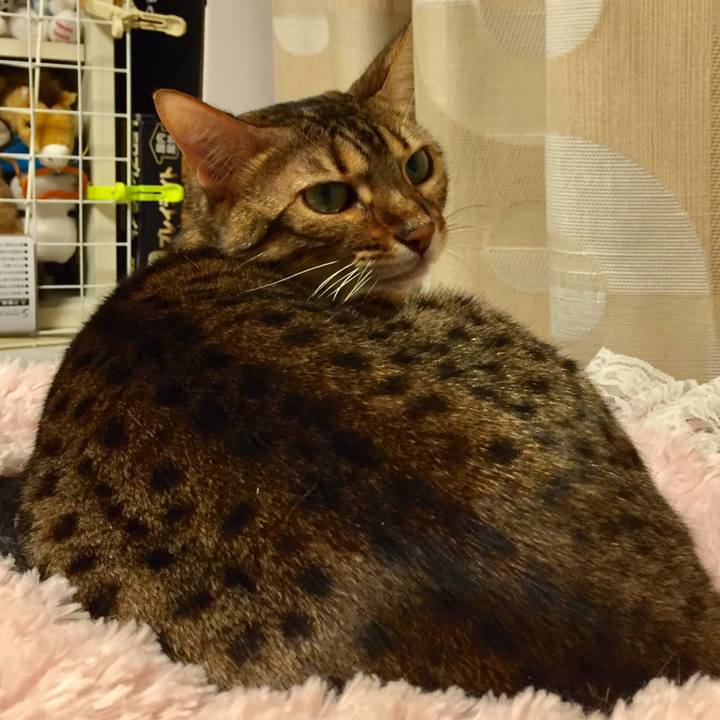 4cdd8906 6f39 4df3 9525 6e725857ced2