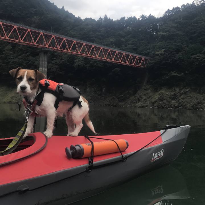 4cddc11f 0a71 4882 ae7c 65c340791da0