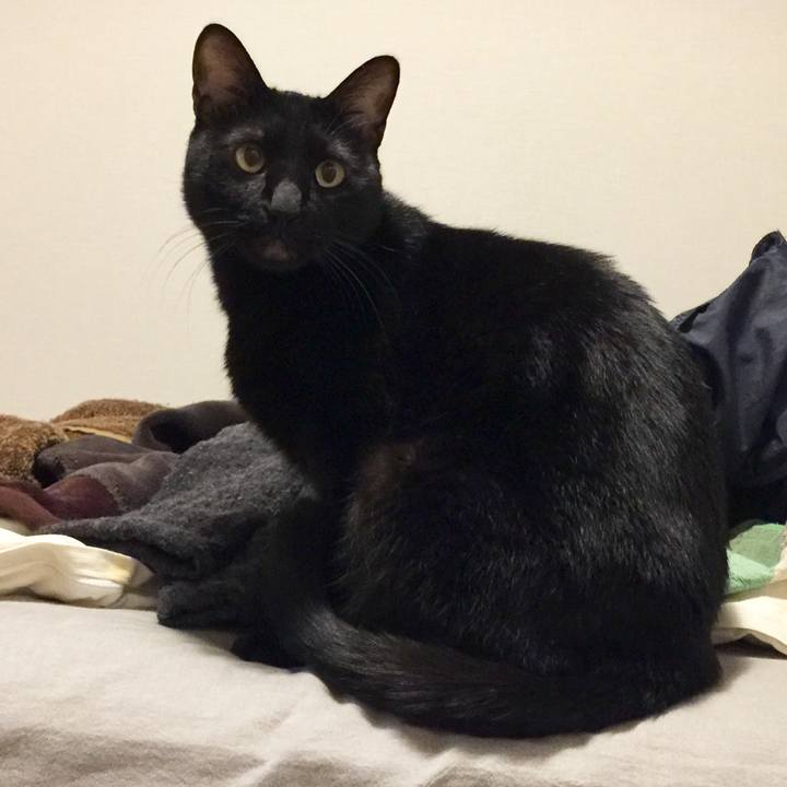 4cde1e9b 5eda 4a35 95f5 c378a8c0f2ec