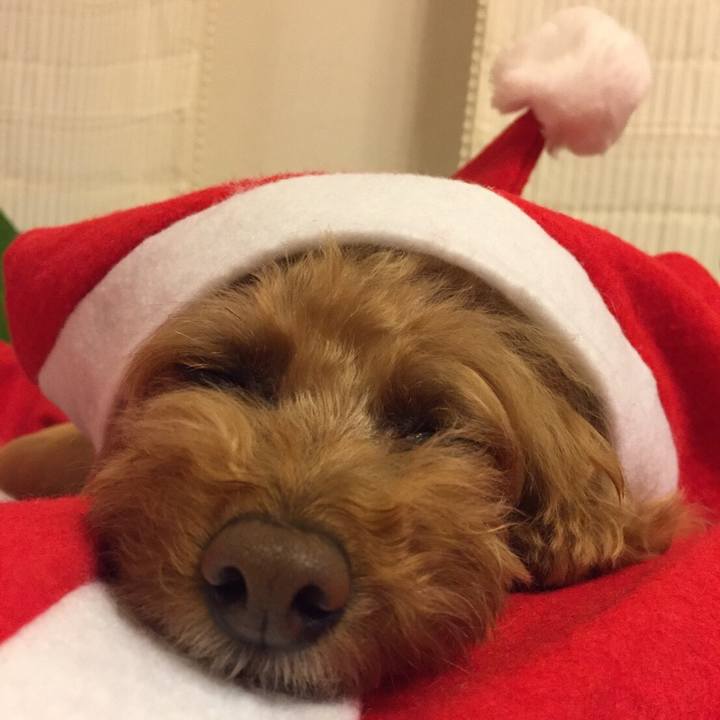 4cde33fc b337 42ab 9a76 04782533397f