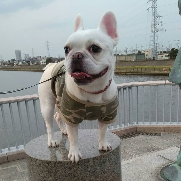 4cde9491 85bf 452e bd7e 7a287f14091f