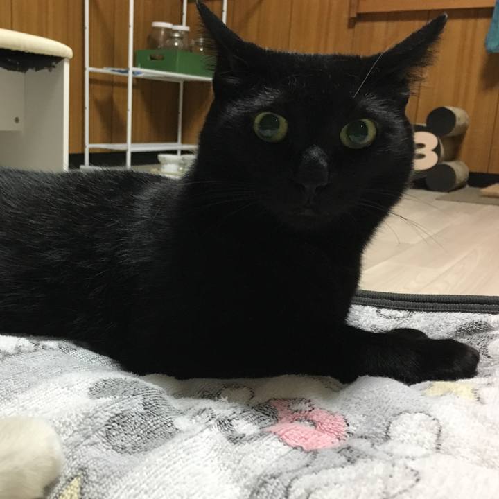 4cdf18b5 ab46 441b 9387 6e54cee5d7d4