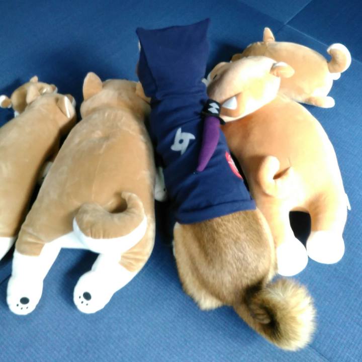 4cdf948e bd94 4792 ae9d 9896cce7573a