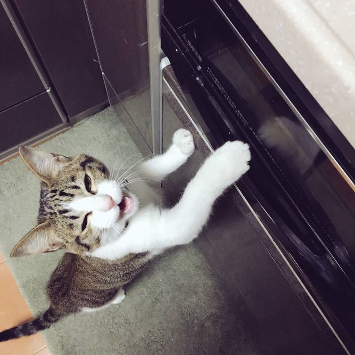 4cdff66e c77b 4171 adbb 217183430933