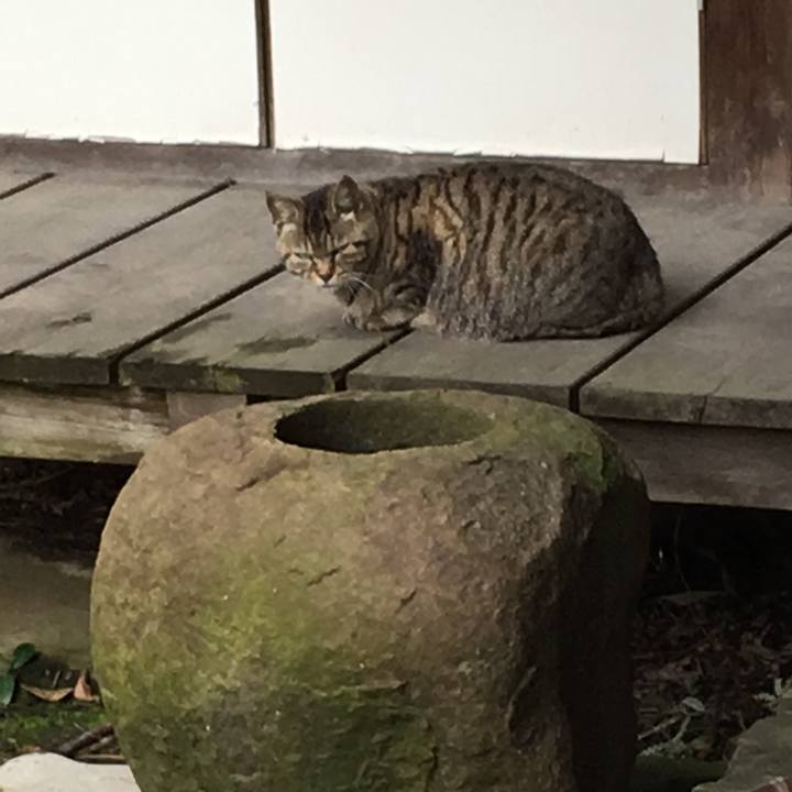 4ce01a12 4b6f 4e0a b630 dd4c6a8eae48