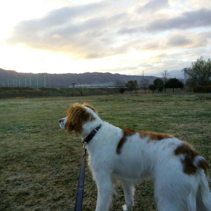 4ce09829 1d7e 46af 87bc 4165d3b17105