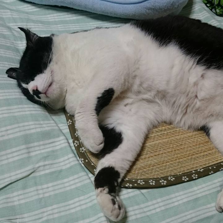 4ce12fc7 f75b 4e9a 8d70 9ea860cec21b