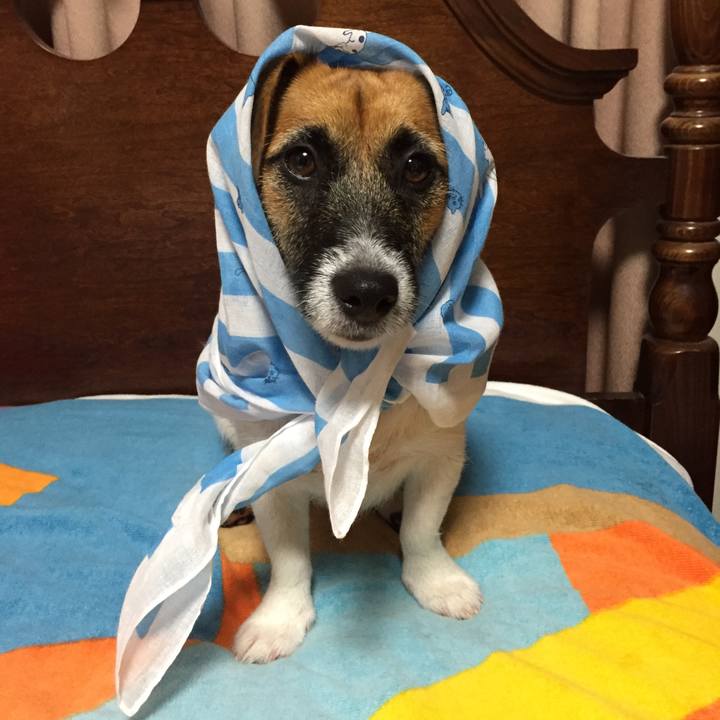 4ce13fdb 60df 4226 82d5 3d889577c14c