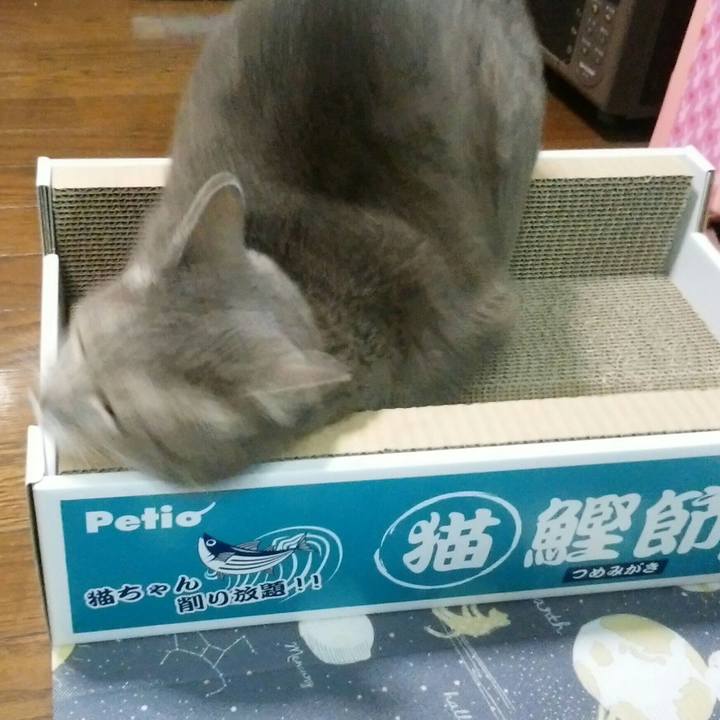 4ce21b2f 19c5 4f2c b5e4 7350b750d475