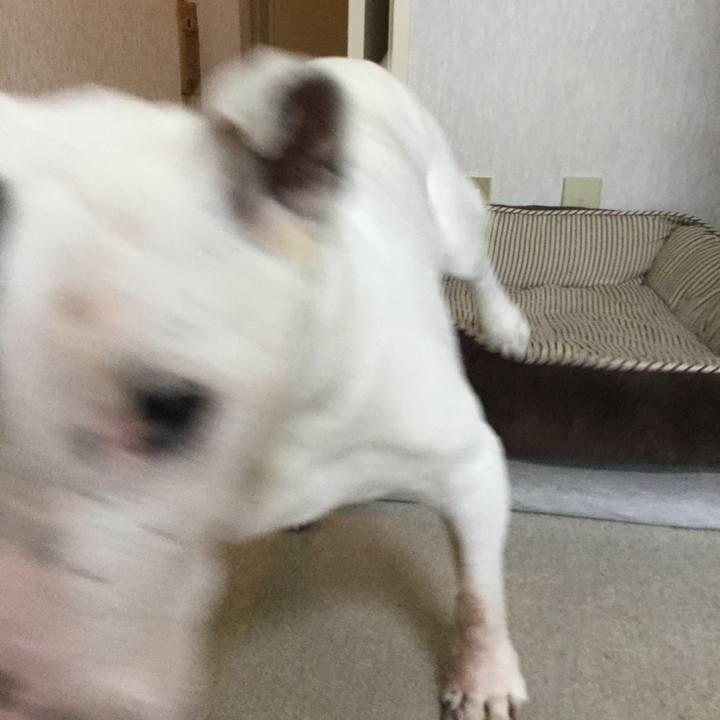 4ce21cc3 363f 41fd 81a8 58825c5629a4