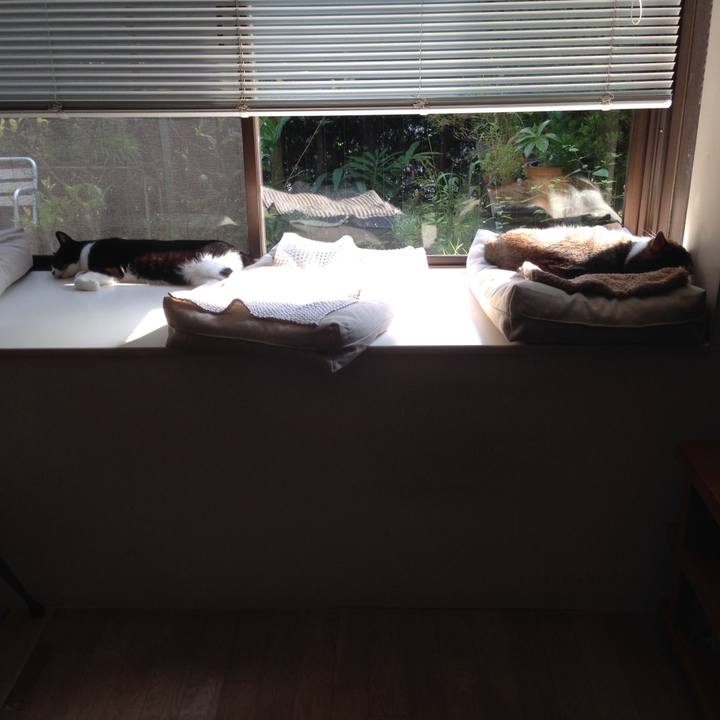 4ce3001e 2ad9 4478 9c11 6973ff4eda38