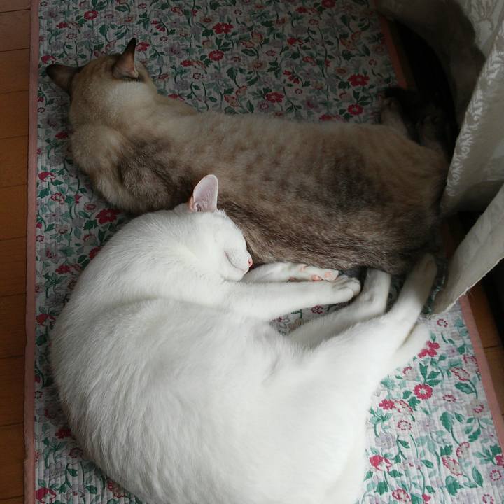 4ce31737 45be 4661 8e40 26fd18ab81e5