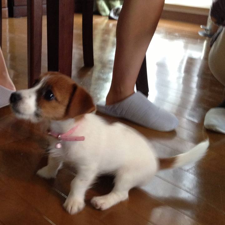 4ce318eb c815 4ef9 8849 68bb865f2aef