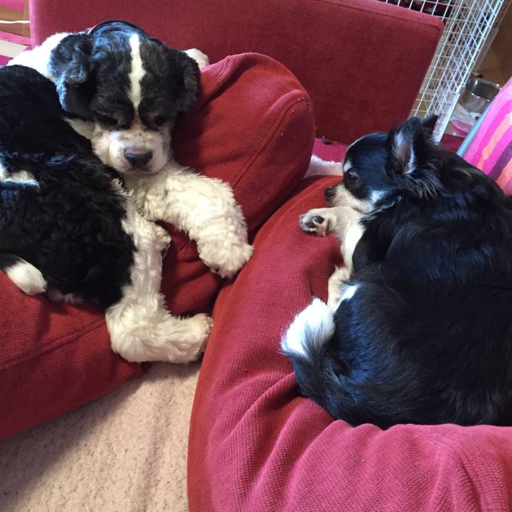 4ce39469 e7fa 4c59 ad96 131808076215