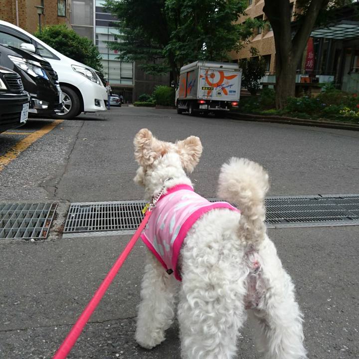 4ce3b018 ee0b 45e3 91a6 6ea5fc4a55fb