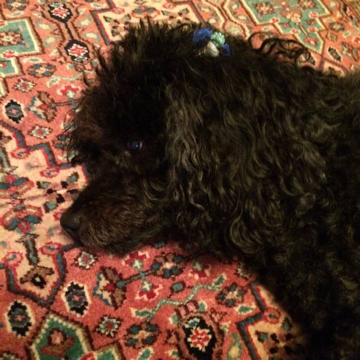 4ce3f2f4 6a21 4afc a2e7 a9a058d9b7f4