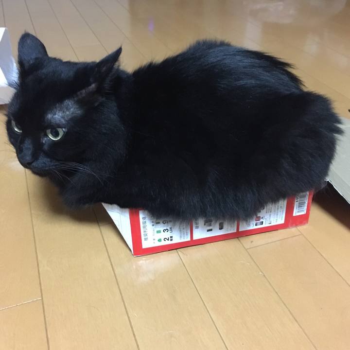 4ce40fbe ba28 41f4 ae51 721d14b004da