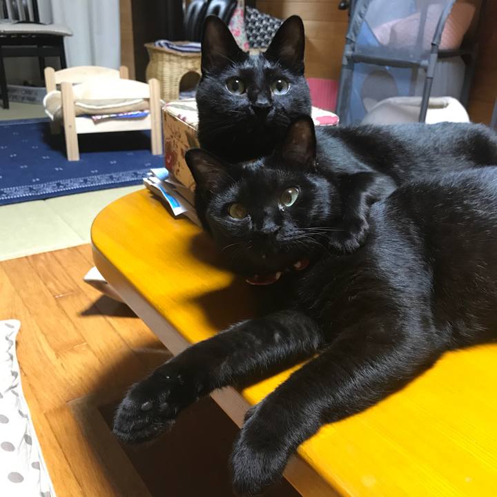 4ce44a11 4d50 4ad1 a6aa 56d4a295bbe1