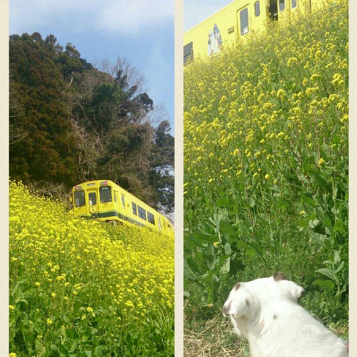 4ce4b933 753b 4c3b ba91 df9abe9ab384