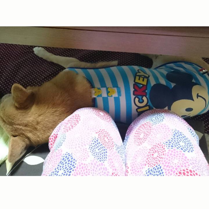 4ce65dd3 ef53 45a9 997b 3487d0e2bb0f