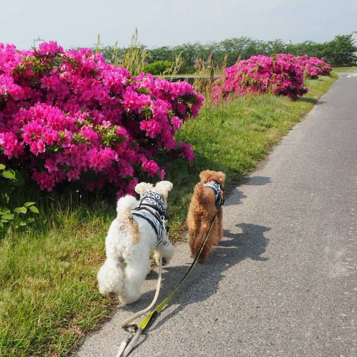 4ce74b8c 09d3 49e4 9aca d0ae40a7cd9c