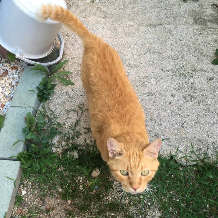 4ce74ec0 46f9 4954 be60 1be24e756387