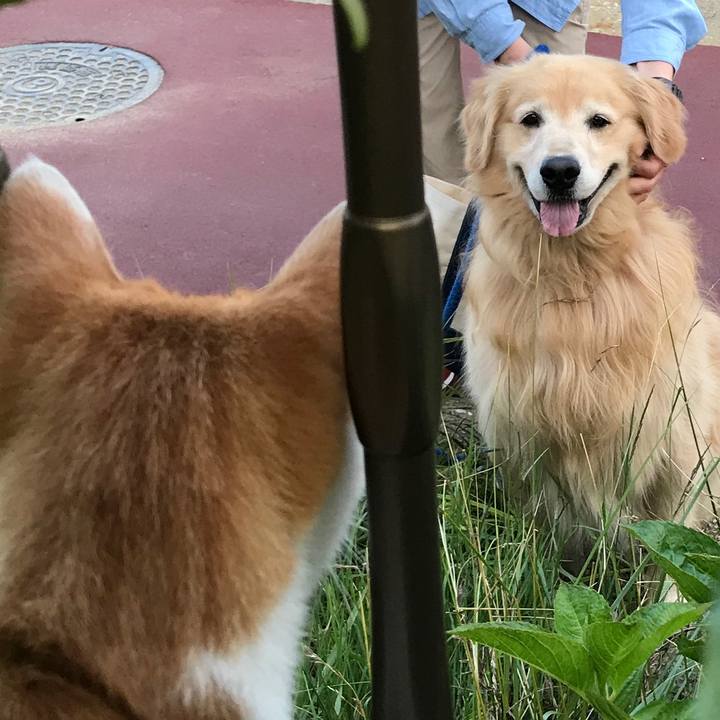 4ce7e34e 8776 4708 8a6b 449288767fd5