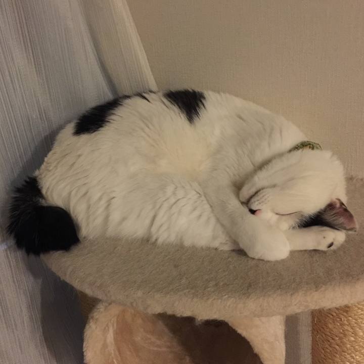 4ce849a0 9b39 4d19 8bd6 516ed4d59832