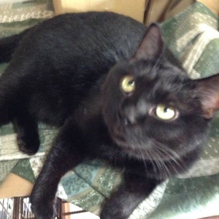 4ce86e88 c08e 469a 8307 b26c6956e0ed