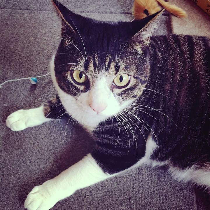 4ce8a284 4ba7 499b b69b e00daf547a00