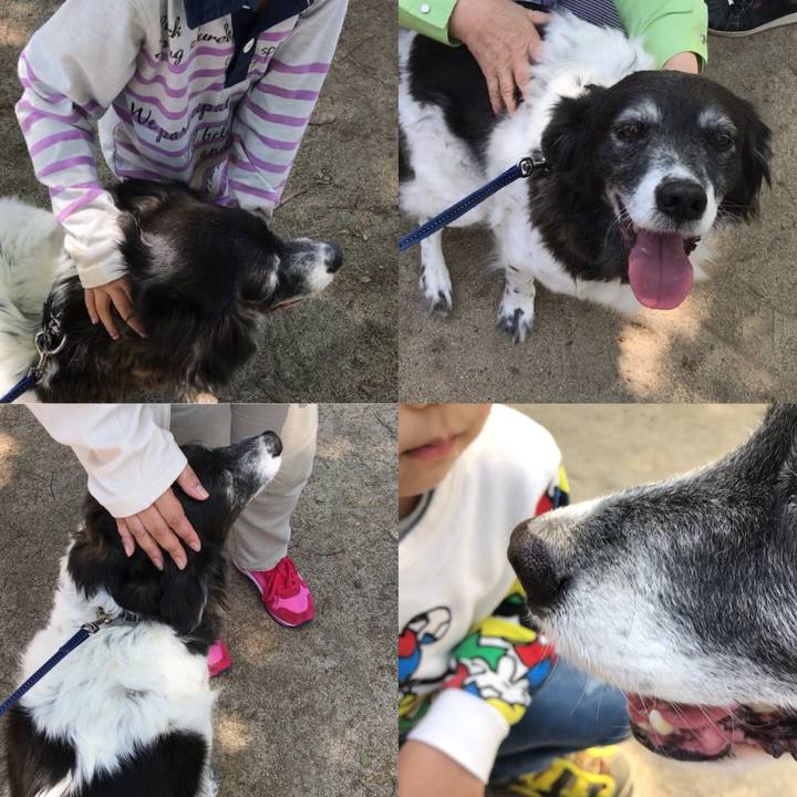 4ce91da3 06ea 4ea9 ab49 ebe410e63933