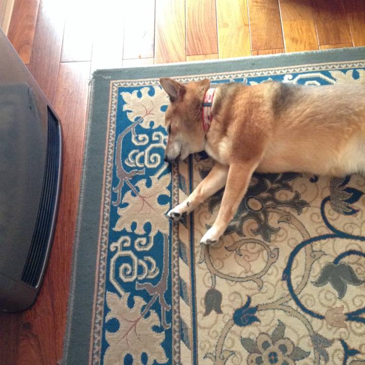 4ce9432c 76f3 4706 bbe3 c82b3f4d2ba8