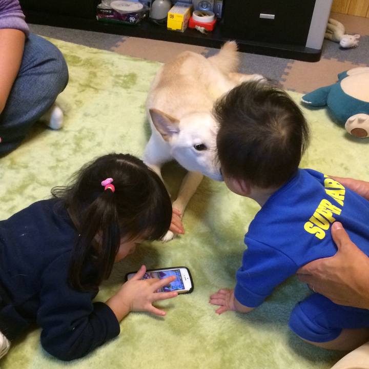 4ce9cc10 c808 4079 b5f3 6e4d3cd7afbb