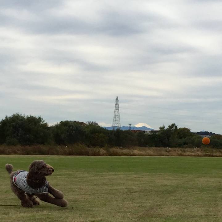 4cea7fc0 d52f 44dc 96a4 59572a564cd0