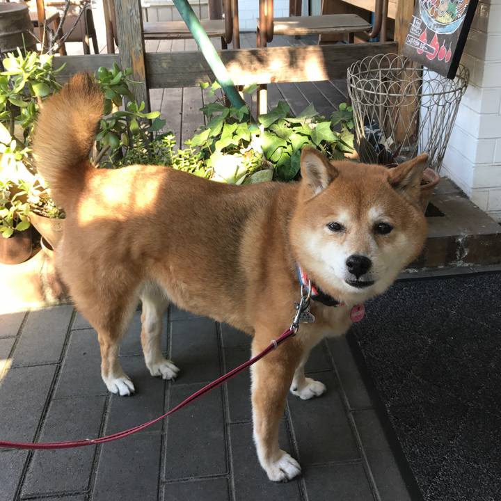 4cea8c1c 174b 41ad a031 0875141f3314