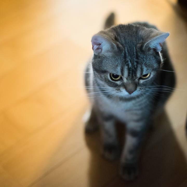 4ceaf13f e919 44c1 ad94 11132eda9a6b