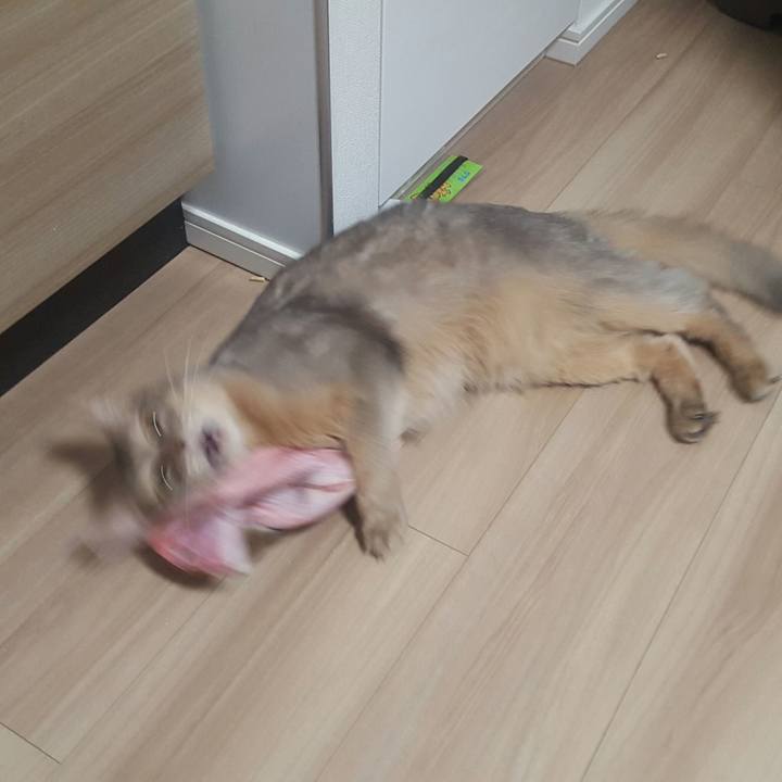 4ceb0135 3a5f 4ef4 9b9c 48223e931d99