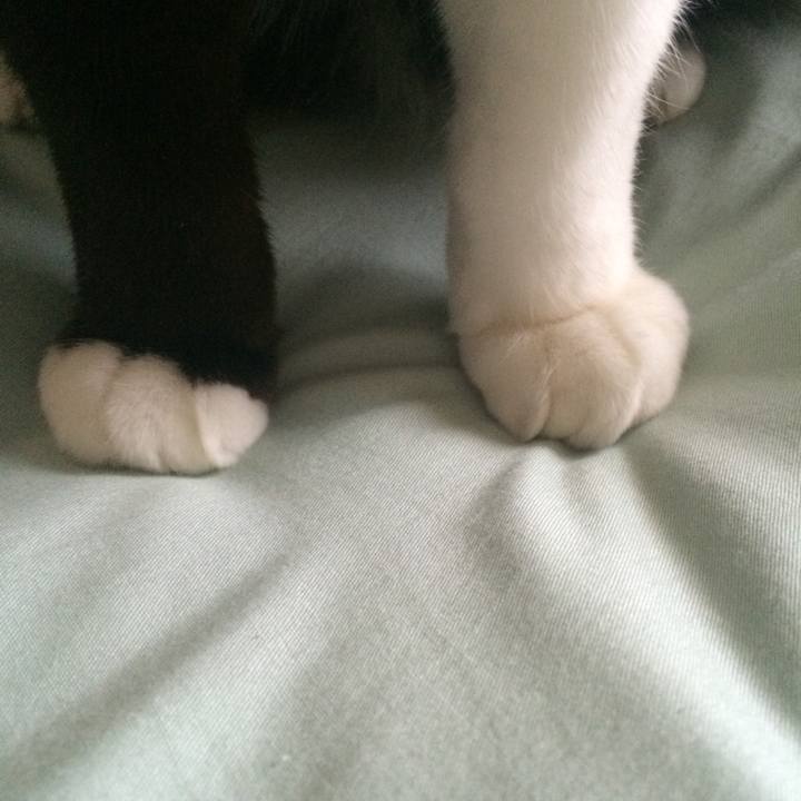 4ceb74a1 27f2 4339 8a46 c66512a354d0